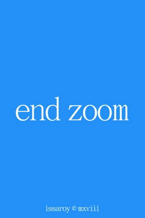 End Zoom End Zoom