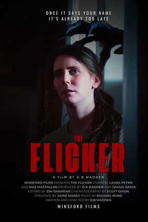The Flicker The Flicker