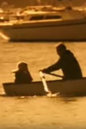 The Island The Island