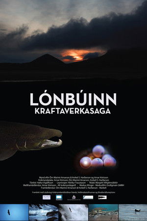 The North Atlantic Miracle The North Atlantic Miracle