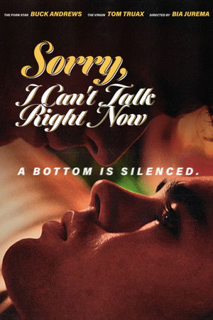 Sorry, I Can't Talk Right Now Sorry, I Can't Talk Right Now