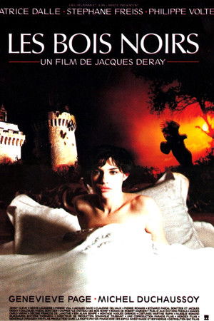 Dark Woods Dark Woods