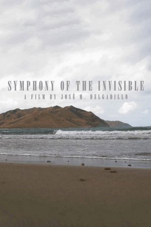 Symphony Of The Invisible Symphony Of The Invisible