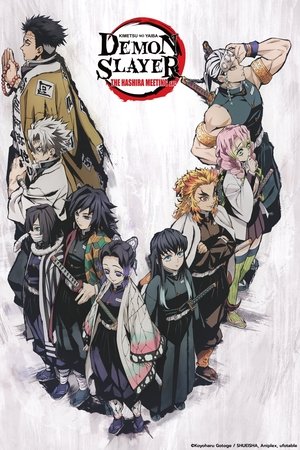 Demon Slayer: Kimetsu no Yaiba - The Hashira Meeting Arc Demon Slayer: Kimetsu no Yaiba - The Hashira Meeting Arc