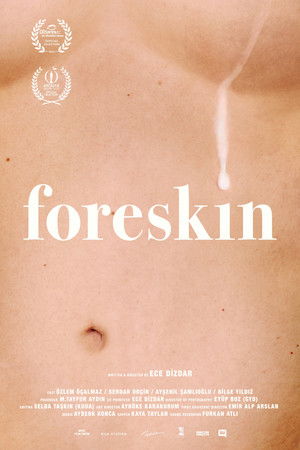 Foreskin Foreskin