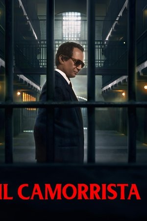 Il camorrista - Una serie di Giuseppe Tornatore