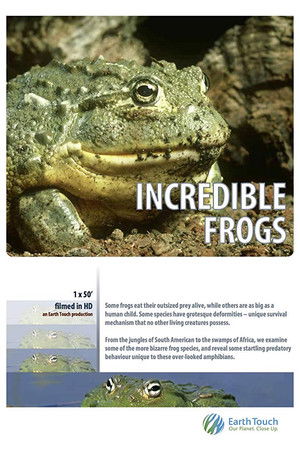 Incredible frogs