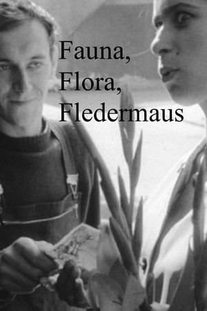 Fauna, Flora, Fledermaus Fauna, Flora, Fledermaus