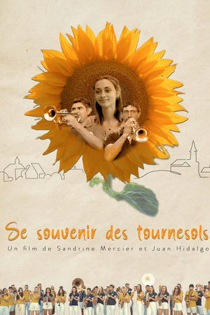 Se souvenir des tournesols Se souvenir des tournesols
