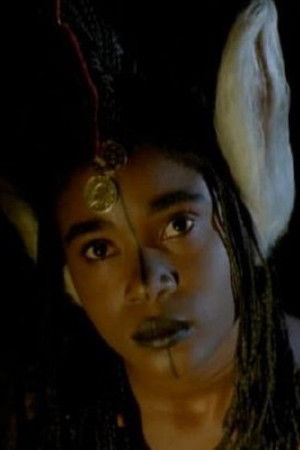 Fary the Donkey Fary the Donkey