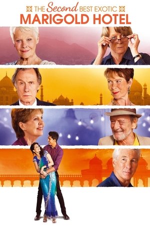 The Second Best Exotic Marigold Hotel The Second Best Exotic Marigold Hotel