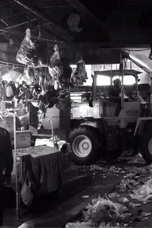 Pagi Yang Sungsang Pagi Yang Sungsang