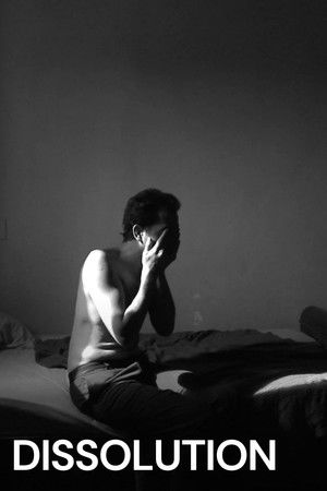 Dissolution Dissolution