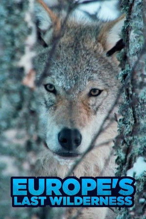 Europe's Last Wilderness Europe's Last Wilderness