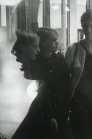 Image, Flesh and Voice Image, Flesh and Voice