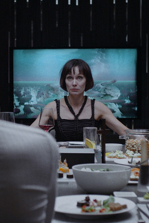 The Contest The Contest