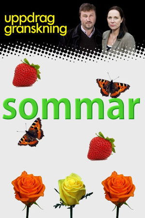 Uppdrag granskning sommar