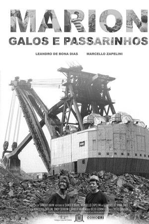 Marion, Galos e Passarinhos