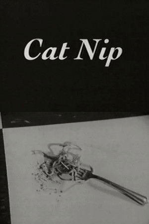 Cat Nip Cat Nip