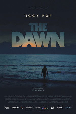 The Dawn The Dawn