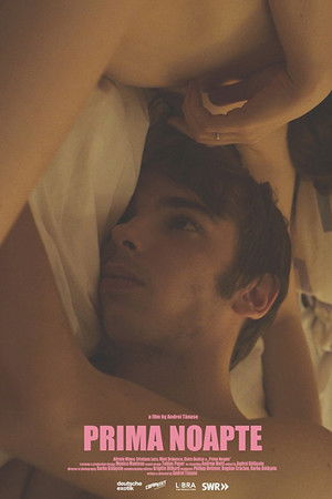 First Night First Night