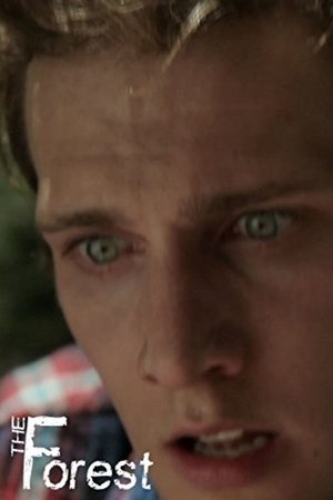 The Forest The Forest