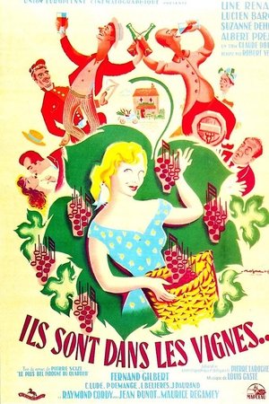 Ils sont dans les vignes... Ils sont dans les vignes...