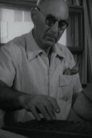 Inimeste maja Inimeste maja