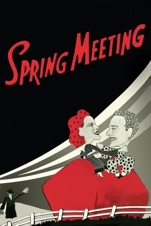 Spring Meeting Spring Meeting