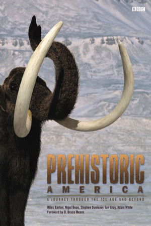 Wild New World Wild New World