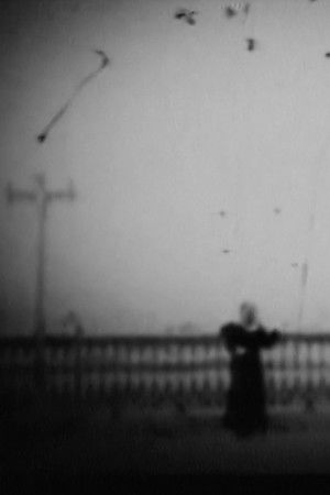 Il tango della neve Il tango della neve