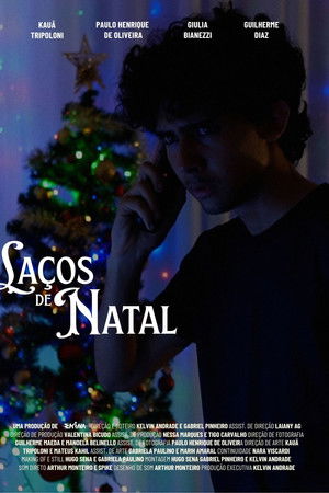 Laços de Natal