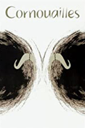 Icewarrior Icewarrior