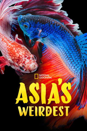 Asia's Weirdest Asia's Weirdest