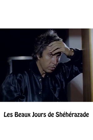 The Beautiful Days of Sheherazade The Beautiful Days of Sheherazade