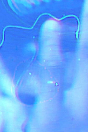 Here is the Imagination of the Black Radical Here is the Imagination of the Black Radical