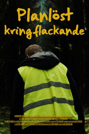 Planlöst kringflackande