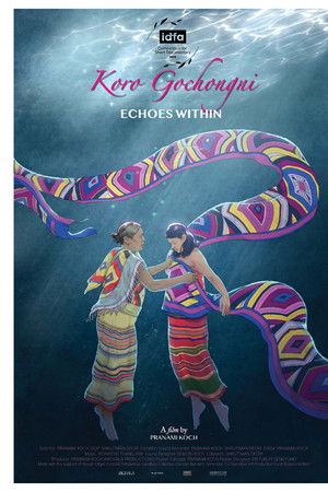 Echoes Within Echoes Within