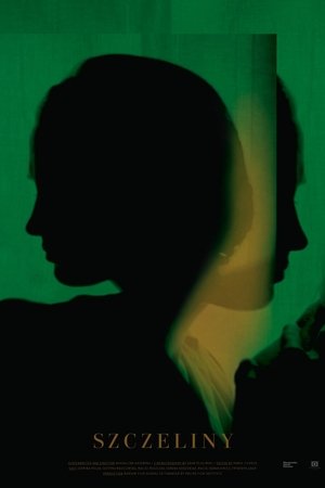 The Cracks The Cracks