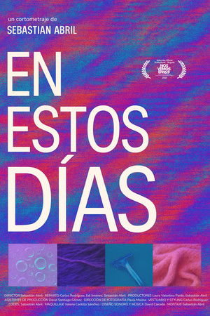 These Days These Days