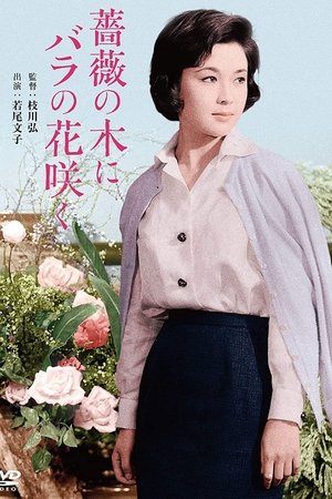 Roses Bloom on a Rose Tree Roses Bloom on a Rose Tree