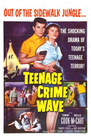 Teen-Age Crime Wave Teen-Age Crime Wave