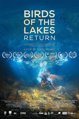 Birds of the Lakes Return Birds of the Lakes Return