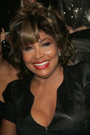 Tina Turner - Simply the Best