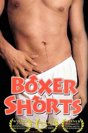 Boxer Shorts Boxer Shorts