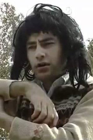 Falling Leaves Falling Leaves