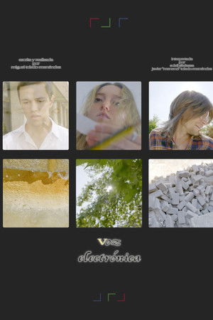 Electronic Voice Electronic Voice