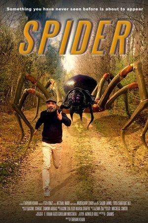 Spider Spider