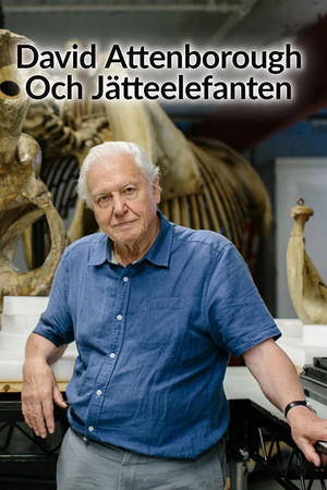 Jumbo: The Life of an Elephant Superstar Jumbo: The Life of an Elephant Superstar