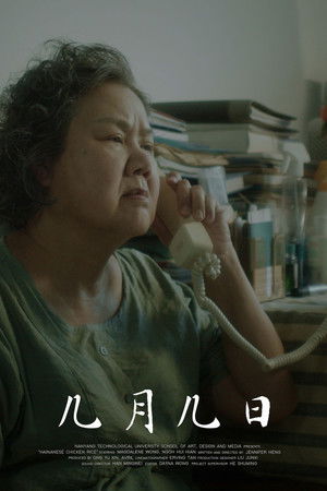 Hainanese Chicken Rice Hainanese Chicken Rice